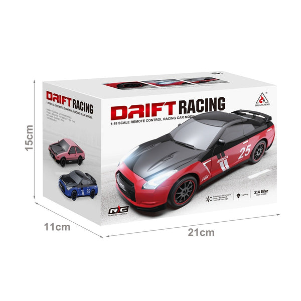 Remote Control Racing Car Model